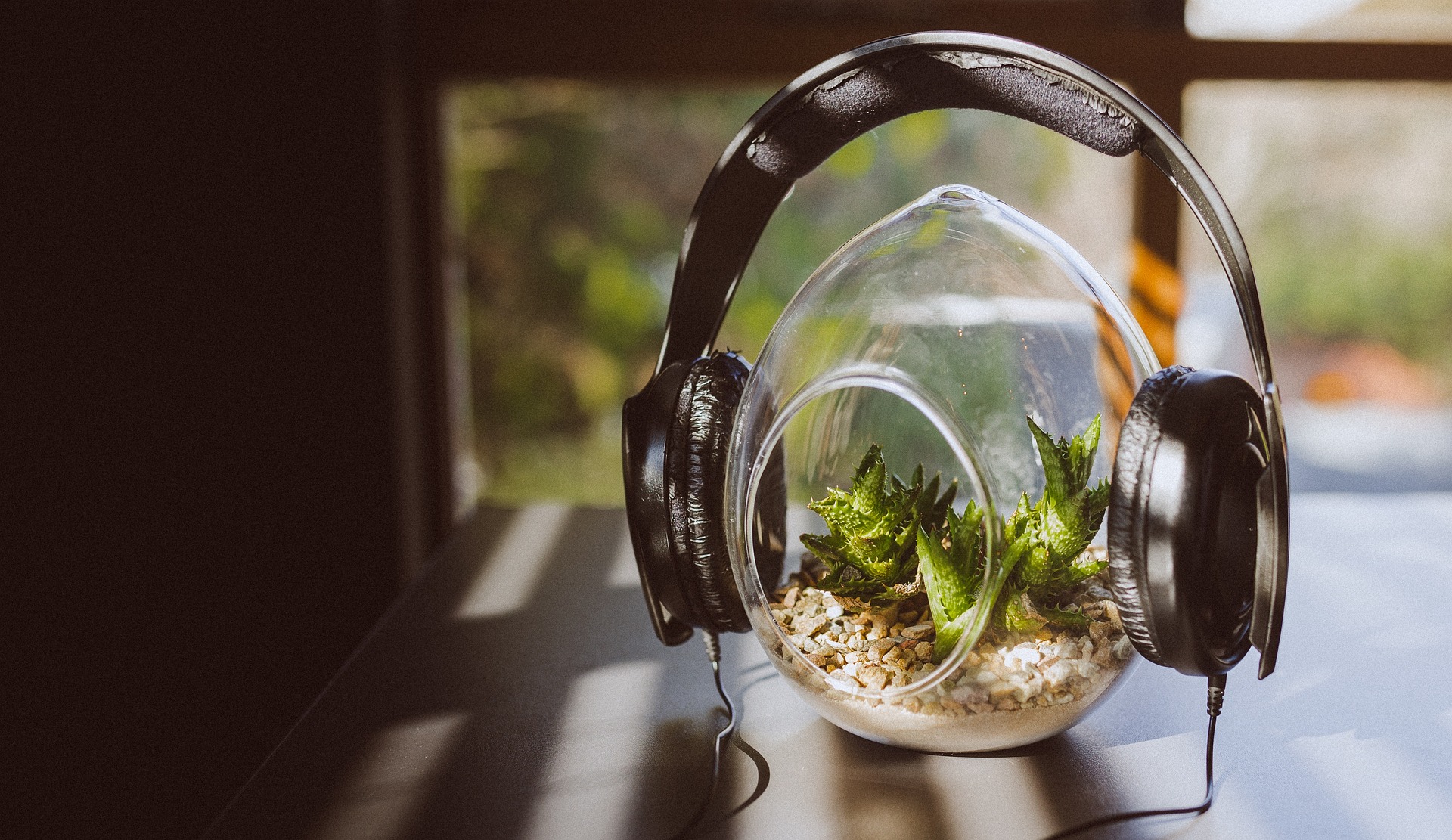 Best Trending Songs for Nature Reels